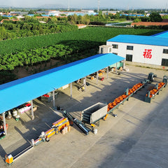 plastic film, woven bags, tonne bags, greenhouse film, winding film and other kinds of waste plastics 